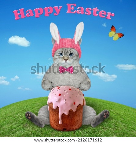 An ashen cat in a pink easter bunny hat with an easter cake sits on grass in the meadow.