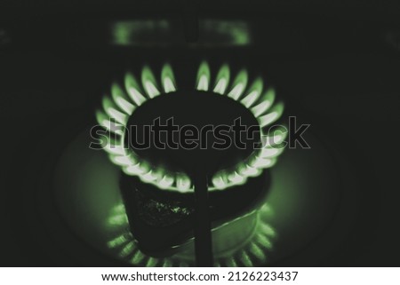 Flames of a kitchen stove, image treated with green color, eco-sustainable gas energy concept.