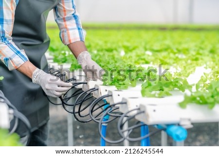 Farmer adjusting water pipe for supply watering system in hydroponic greenhouse  Royalty-Free Stock Photo #2126245544
