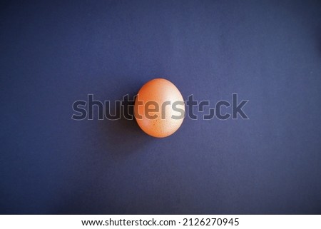 a hen's egg on dark background