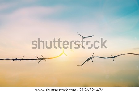 Abstract Barrier wire fence refugee Twilight sky. Deliverance Broke spike change bird boundary human rights slave prison jail break hope freedom justice social liberty day world war emancipation win. Royalty-Free Stock Photo #2126321426