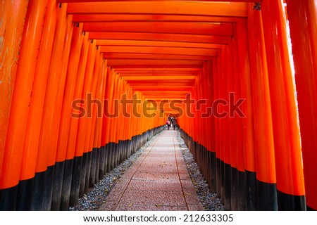 Torii gates at Fushimi Inari Taisha Shrine in Kyoto, Japan