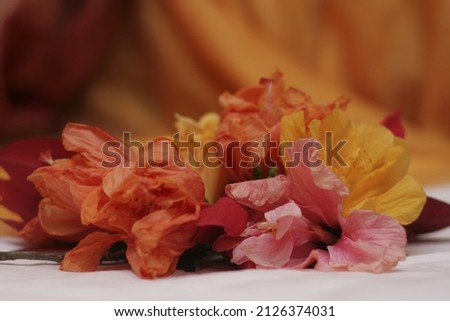 Delicate flowers of different colors lie on the table