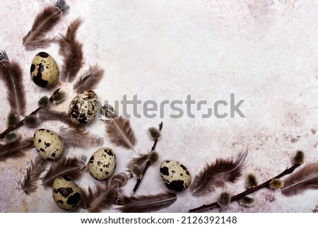 Easter background with quail eggs, feathers and catkins on light background with copy space for your tekst. Easter card. 