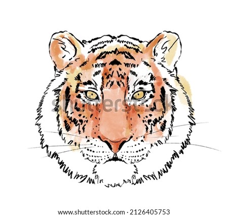 Colorful Tiger art. Wild animal watercolor illustration isolated on white background.