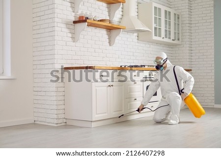 Exterminator fighting insects in house. Pest control home service guy in mask and white protective suit spraying poisonous gas or liquid from sprayer bottle on floors and cupboards in kitchen interior Royalty-Free Stock Photo #2126407298