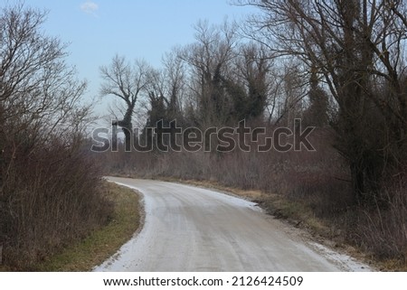 A frozen road through the forest in rural area at winter