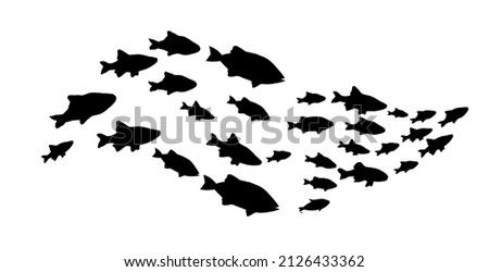 Silhouettes of groups of  fishes on white. Vector