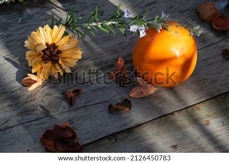 still life in orange with persimmons and flowers