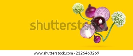 Flying onions and onion flowers on a yellow background .Beautiful purple bulbs.