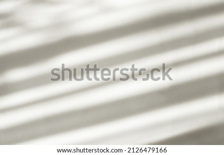Organic shadow on white wall, overlay effect for photos, mockups, posters, stationery, wall art, design presentations. Abstract background. Blurred background.