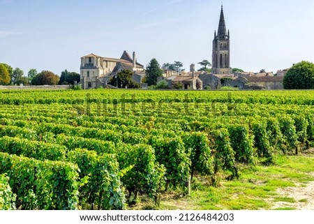 Vineyards of Saint Emilion, Bordeaux wineyards in a sunny day, France Royalty-Free Stock Photo #2126484203