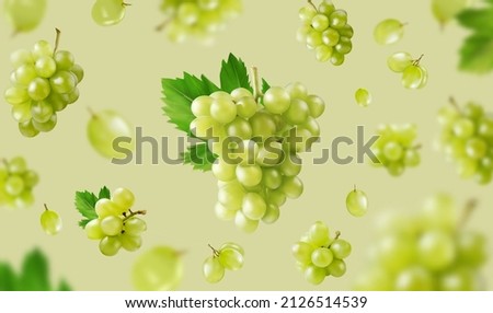 Green background with grapes and leaves. Green grapes in fly on green background. Realistic vector illustration. Royalty-Free Stock Photo #2126514539