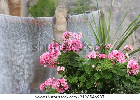 Pink Flowers with waterfall scenery