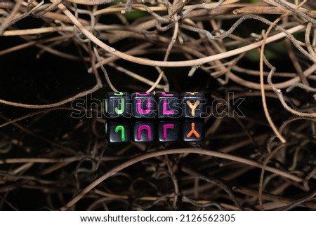 Mote alphabet blocks arranged into "July" against a background of dry twigs of vines.
