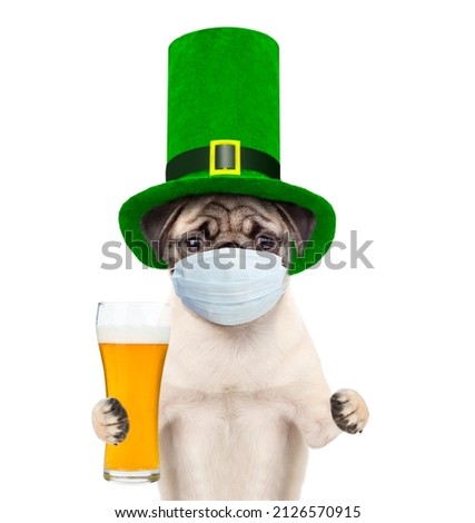St Patrick's Day during lockdown concept. Funny puppy wearing protective face mask and green cylinder of the leprechaun holds a glass of beer. isolated on white background