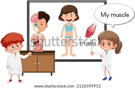 Young doctor explaining muscle anatomy illustration