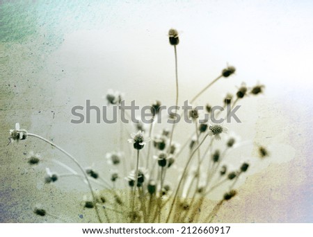 Vintage photo of wildflowers on grunge texture background.
