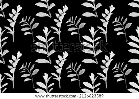 seamless pattern scented fragrant trendy pale black aster.