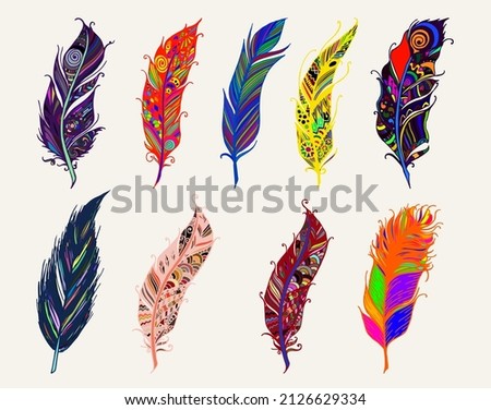 Colorful Feather Set Vector Illustration