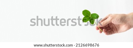 St. Patrick's Day banner. A male hand holding a four leaf clover on white background. Good for luck or St. Patrick's day. Shamrock, symbol of fortune, happiness and success. Copy space for text