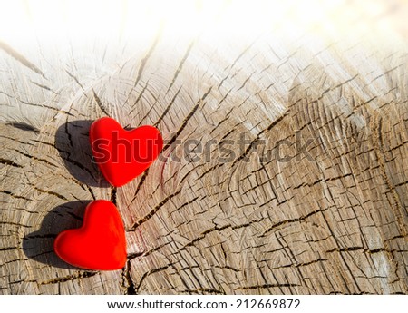 pair of hearts symbol for valentine's day background of an old tree