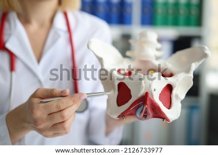 Doctor traumatologist demonstrating bones of pelvis to students in clinic closeup Royalty-Free Stock Photo #2126733977