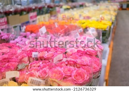 Selective focus on pink roses at wholesale flower shop base. Flowers in the shop for International Women's Day March 8 or Valentine's Day February 14.