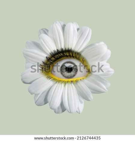 White camomile flower with girl's eye inside it on light background. Modern design. Contemporary art. Creative collage. Beauty, art, vision. Eyeball in flower. Surrealism, minimalism Royalty-Free Stock Photo #2126744435