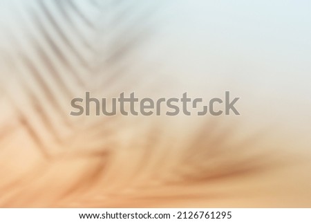 Natural palm leaves shadow on gradient paper background. Abstract peach and blue tropical backdrop. Soft light