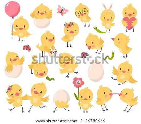 Cute chicken set, easter vector illustration