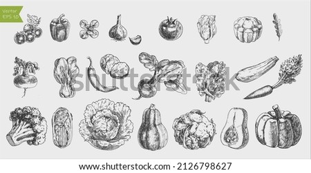 Black and white engraved vegetables. Vector illustration Royalty-Free Stock Photo #2126798627