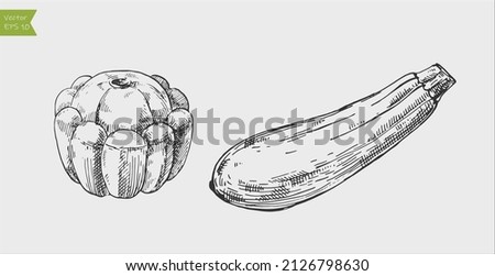 Black and white engraved zucchini and pattypan squash. Vector illustration Royalty-Free Stock Photo #2126798630