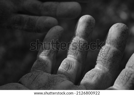 A closeup shot in black and white of man's hands with marks from farmland work