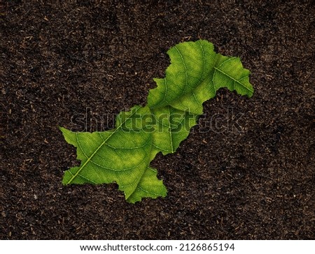 Pakistan map made of green leaves, concept ecology Map green leaf on soil background Royalty-Free Stock Photo #2126865194