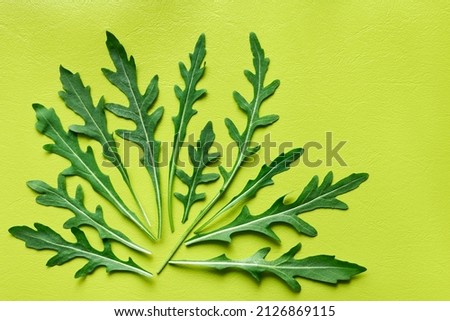 Fresh arugula leaves flat lay on green background close up