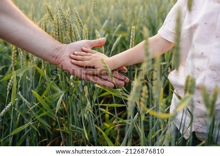 Close up of man with a child holding hands at wheat field full green spikelets at summer.. Selective focus. Nature. Royalty-Free Stock Photo #2126876810