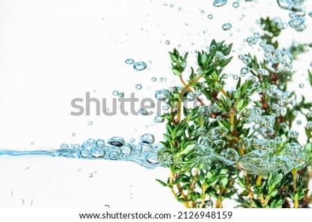 Fresh thyme bunch in water with bubbles. Copy space.