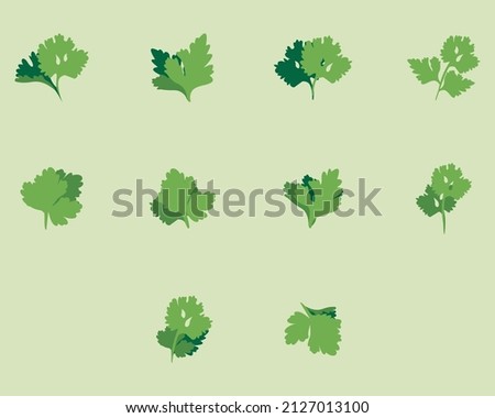 Vector coriander and parsley icon set Royalty-Free Stock Photo #2127013100