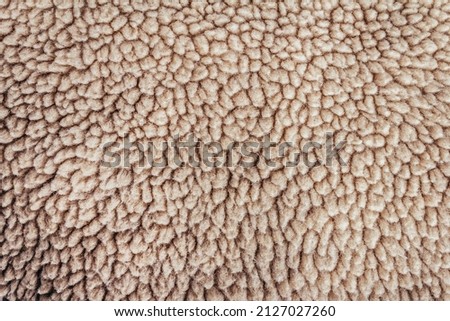Backdrop close-up photo texture of light brown colored lining fur material.