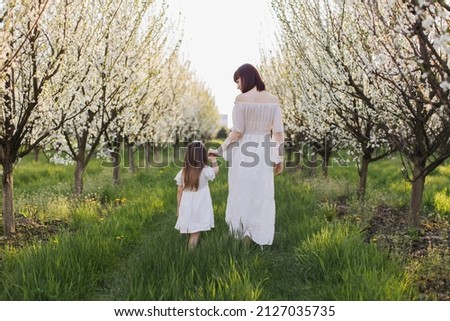 Back view of young mother and little daughter in white dresses holding hands and walking among blooming apple trees. Concept of family, leisure time and connection.