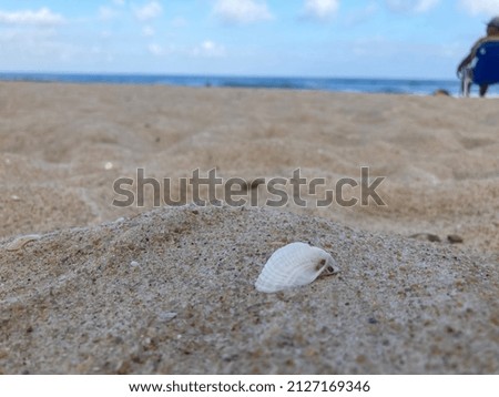 Photo taken on the beach. Brazil 2022