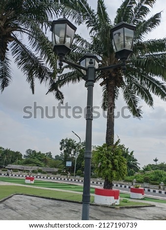 lighting in the garden with coconut trees in the background