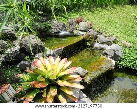 a simple garden view with little water stream or water fall imitate nature scenery