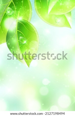 Fresh green leaves spring background