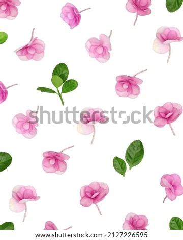 Natural Hydrangea pink purple flower, minimal floral pattern on white background. Layout with small fresh flowers. Spring holiday concept, for Mothers day, 8 March, Womens day. Flat lay, above view