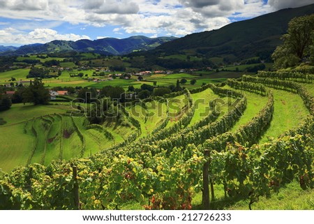 Vineyards-France Royalty-Free Stock Photo #212726233