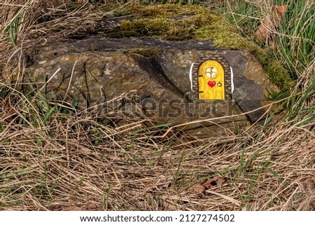 Small yellow door with a red heart on it on a rock with green moss and surrounded by brown wild green grass with a blurred background. Entrance of a fairy house in an enchanted world, Netherlands