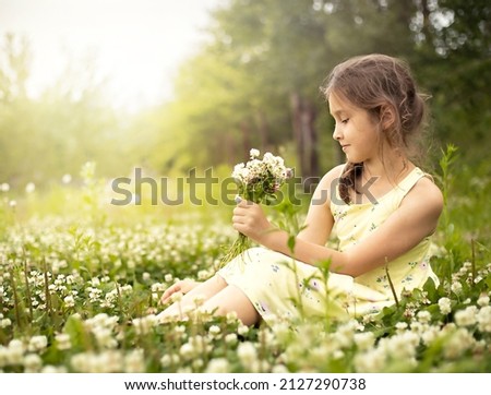 beautiful girl sitting in the meadow