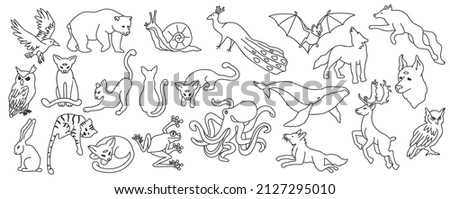 Vector isolated line art set of wild animals